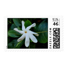 Tiare Tahitian Gardenia Postage Stamp