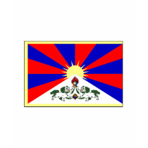 Tibet FLAG International t-shirts