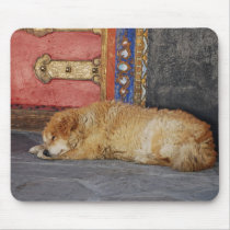 Tibet Impressions008 mousepads
