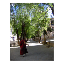 tibet senglv posters