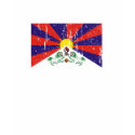 Tibetan Flag T-shirts and Apparel