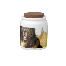 Tibetan Mastiff Candy Jar