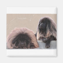 Tibetan Mastiff Fridge Magnet