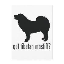 Tibetan Mastiff Postcards