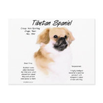 Tibetan Spaniel History Design postcards