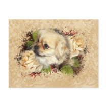 Tibetan Spaniel Postcard