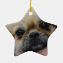 Tibetan Spaniel Puppy Ornament