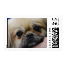 Tibetan Spaniel Puppy Postage Stamp