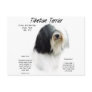 Tibetan Terrier History Design Post Card