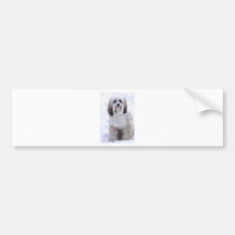 Tibetan Terrier Sable and White Bumper Sticker