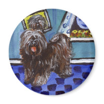 Tibetan terrier senses smiing moon magnets