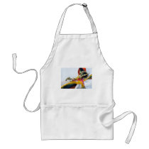Tibetan Vajra Aprons