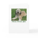 Tibetans Rule note card by TTmom Tibetans Rule note card