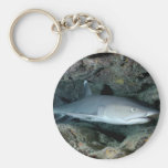 Tiburón de Silvertip Llavero