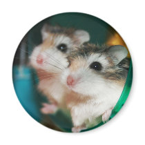 Tic and Tac - Magnet