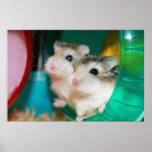 Tic and Tac - Poster