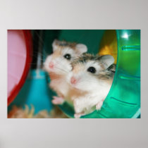 Tic and Tac - Poster
