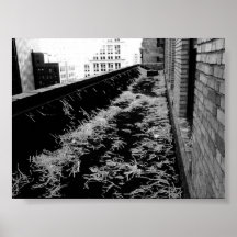 ticker tape. print