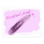 Tickled Pink Postcard postcards