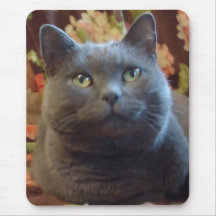 Tickles Mousepads