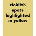 ticklish spots highlighted in yellow t-shirts
