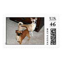 Tico & Cocoa postage