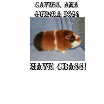 TicTac, CAVIES, AKA GUINEA PIGS, HAVE CLASS! t-shirts