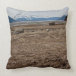 Tidal Flats Throw Pillow