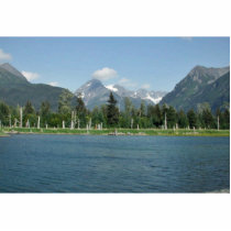 Tidal Pool and Spruce photo sculptures