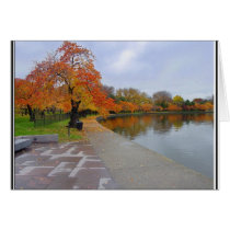 Tidal Pool Fall Colors cards