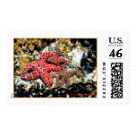 Tidal Pool postage
