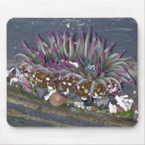 Tide Pool Beauty Mousepad by ashale8 Tide Pool Beauty Mousepad