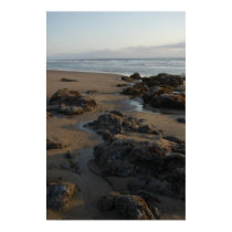 tide pools empty posters