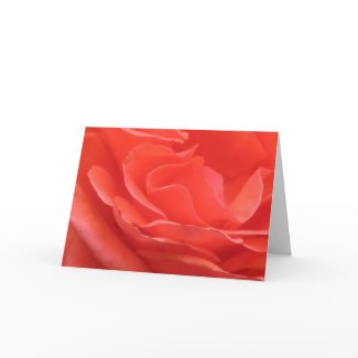 Tides of Peach Rose Flower Photo Greeting Card