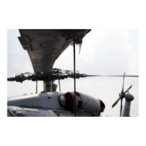 Tie Down posters