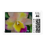 Tie Dye Orchid Postage