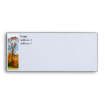 Tie_TallAutumnTrees.png envelopes