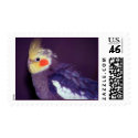 Tiel postage Stamps by Petcetera Tiel postage Stamps