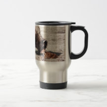 Tiempo de la limpieza tazas de café