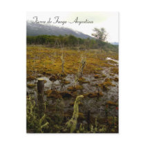 Tierra del Fuego - Argentina Post Cards