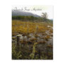 Tierra del Fuego - Argentina Post Cards