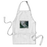 Tierra Del Fuego Chile/Argentina (Picture Earth) aprons