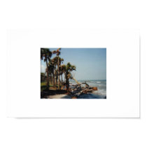 Tiffany and Palm Trees posters