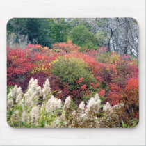 Tifft Nature Preserve - Fall Foliage mousepads