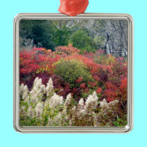 Tifft Nature Preserve - Fall Foliage ornaments
