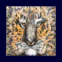 Tig The Tiger magnets