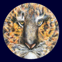 Tig The Tiger stickers