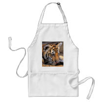 Tiger38