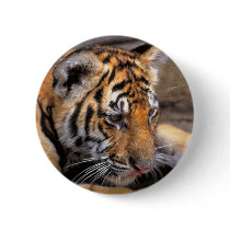 Tiger38 Button