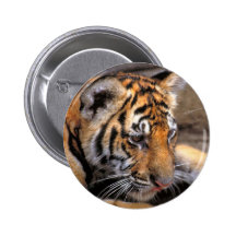 Tiger38 Button